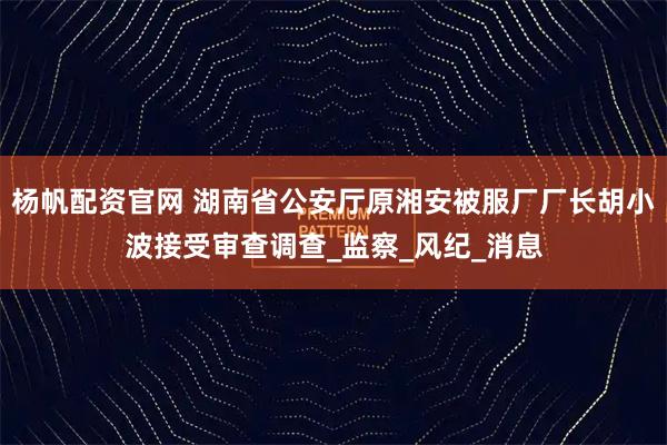 杨帆配资官网 湖南省公安厅原湘安被服厂厂长胡小波接受审查调查_监察_风纪_消息