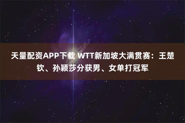天量配资APP下载 WTT新加坡大满贯赛:王楚钦、孙颖莎分获男、女单打冠军
